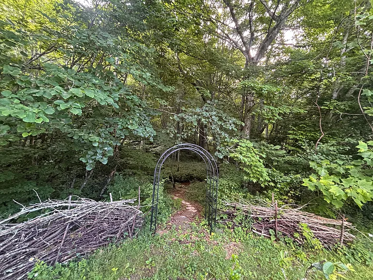 Fairy Path to Creek on Property