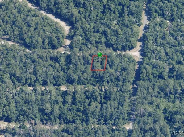 928 E Panama Dr, Citrus Springs, FL 34434