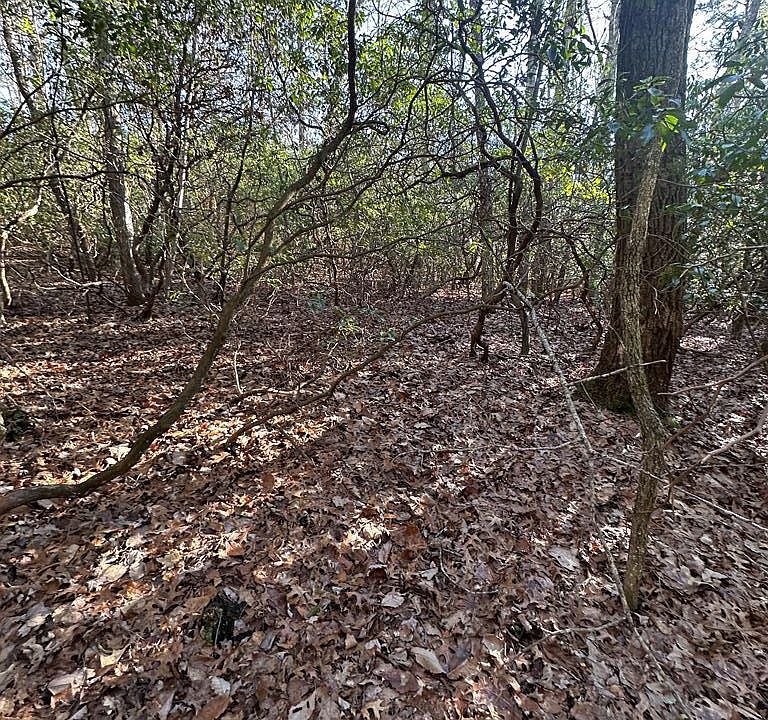 1st image of 350 Haven Ln