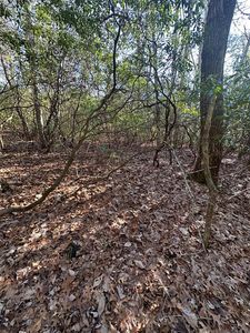 350 Haven Ln, Crawford, TN, 38554