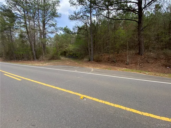 0 Highway 17, Reform, AL 35481