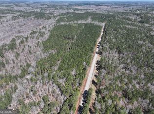 25/ACRE S On Ga Highway 3 Tract 34, Franklin, GA 30217