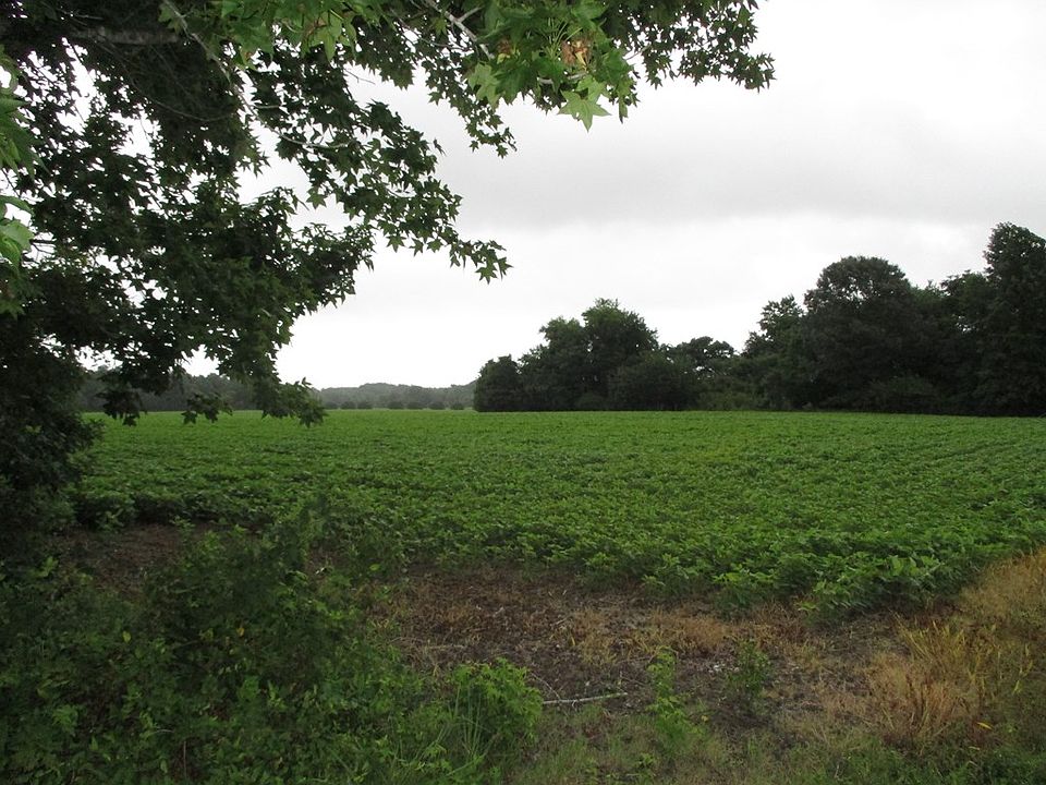 2nd image of 0 Fletcher Rd