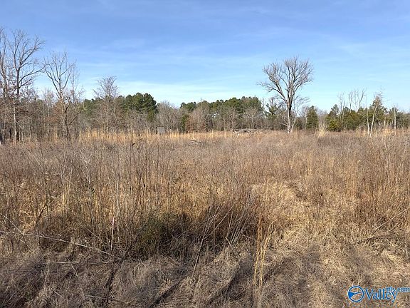 5th image of LOT 4&5 County Road 59