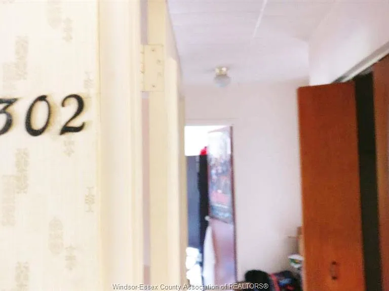 3044 Sandwich St #302 — Photo 4