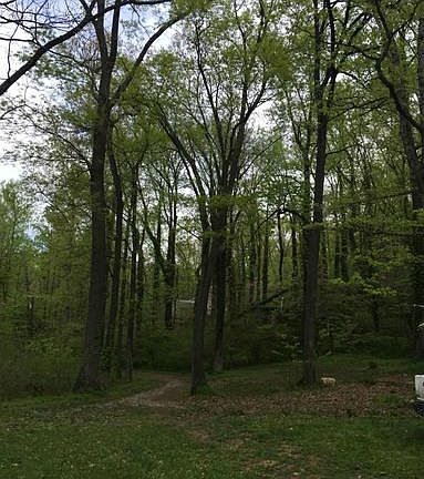 2nd image of 251 Goode Ln