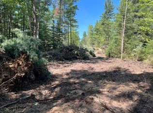 10312 Tyler Dr, Saint Helen, MI 48656