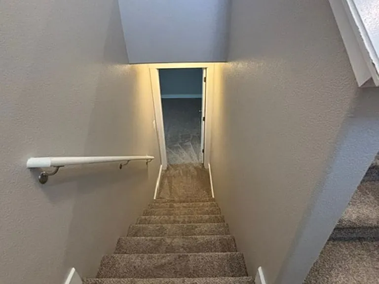 1333 Alyssa Way — Photo 38