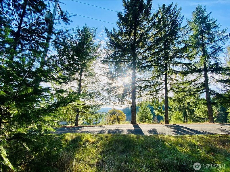 2nd image of 0 Lincoln Creek Road
