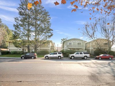 Mulberry, Concord, CA, 94519