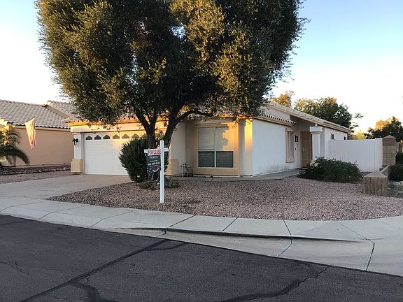 Large corner lot, low maintenance landscape