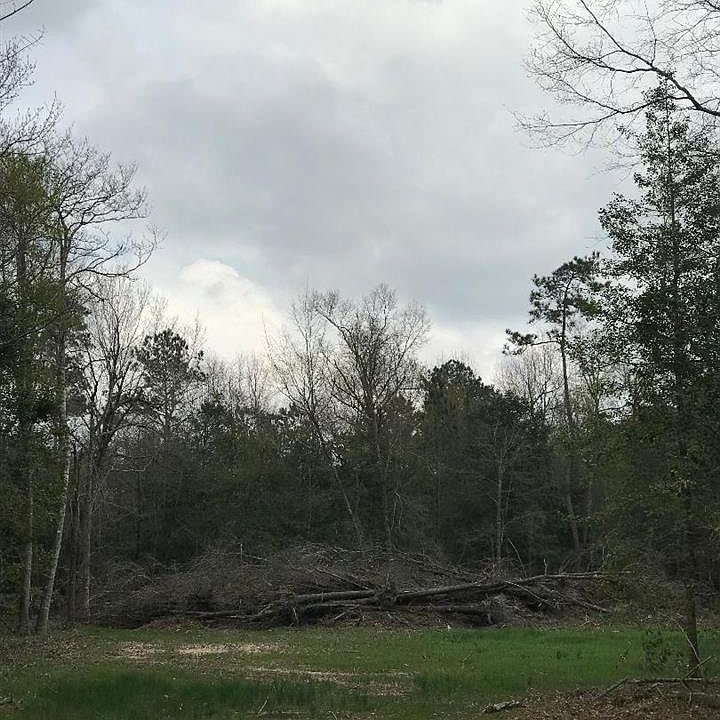 1st image of 11305 Baldwin Ct