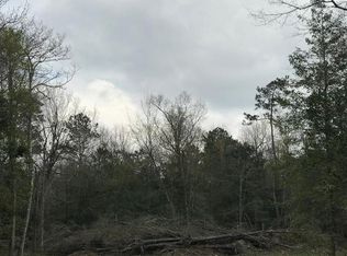 11305 Baldwin Ct, Lumberton, TX 77657