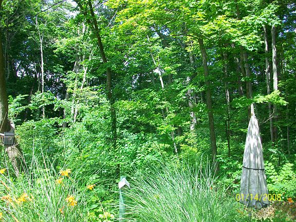 2nd image of 215 Greenwood Dr