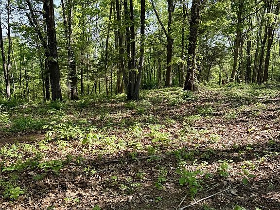 5th image of 0 Carroll Rd