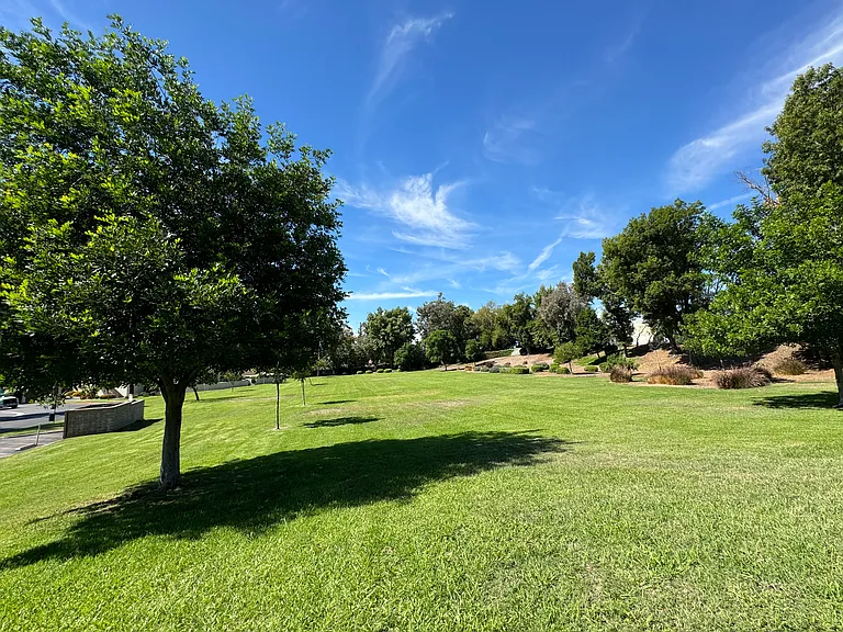 2154 Basswood Ct — Photo 32