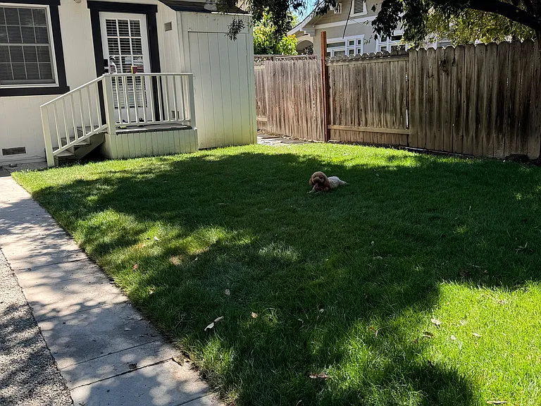 1231 Minnesota Ave — Photo 18