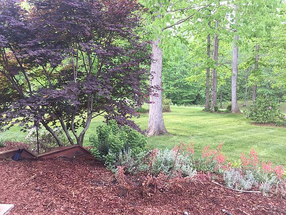 4th image of 2636 Pamlico Dr