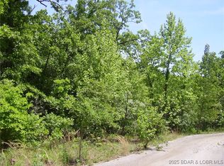 20 Silver Spur Ct, Camdenton, MO 65020