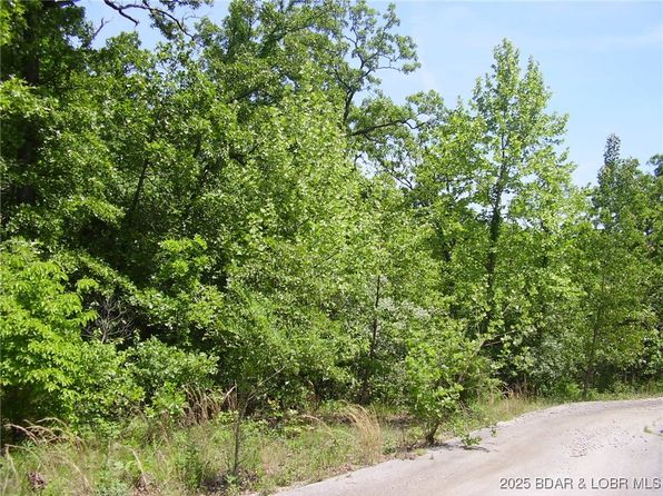 20 Silver Spur Ct, Camdenton, MO 65020