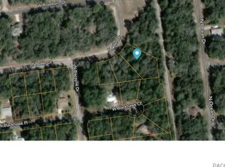 10581 N Adler Dr, Citrus Springs, FL 34434