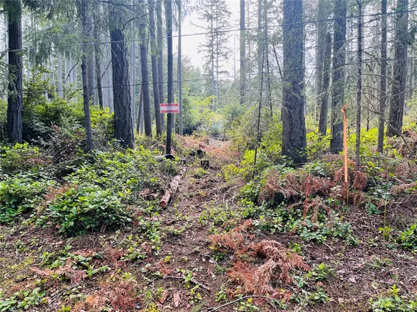 10306 Port Place, Anderson Island, WA 98303