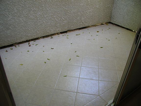 Large Newly Tiled Patio
