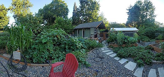 Panorama of garden