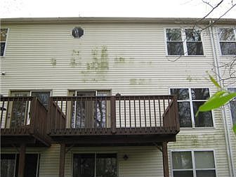 Back of Home