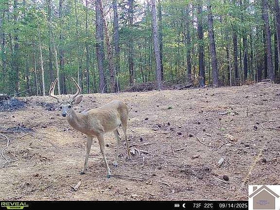 2nd image of 1977 Highland Rd
