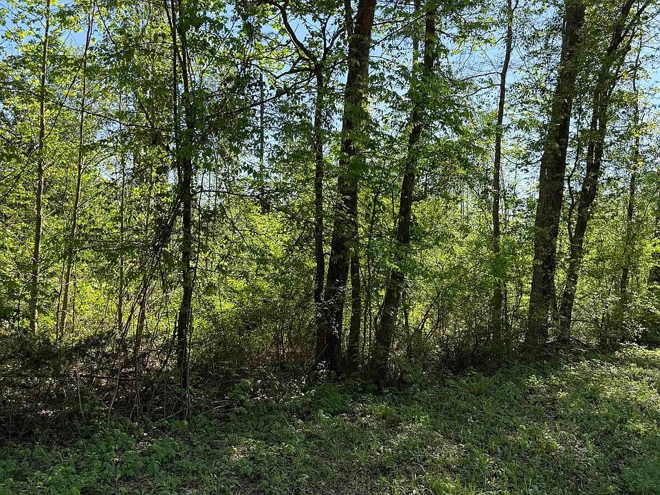 2nd image of LOT 1 Fm 839 S