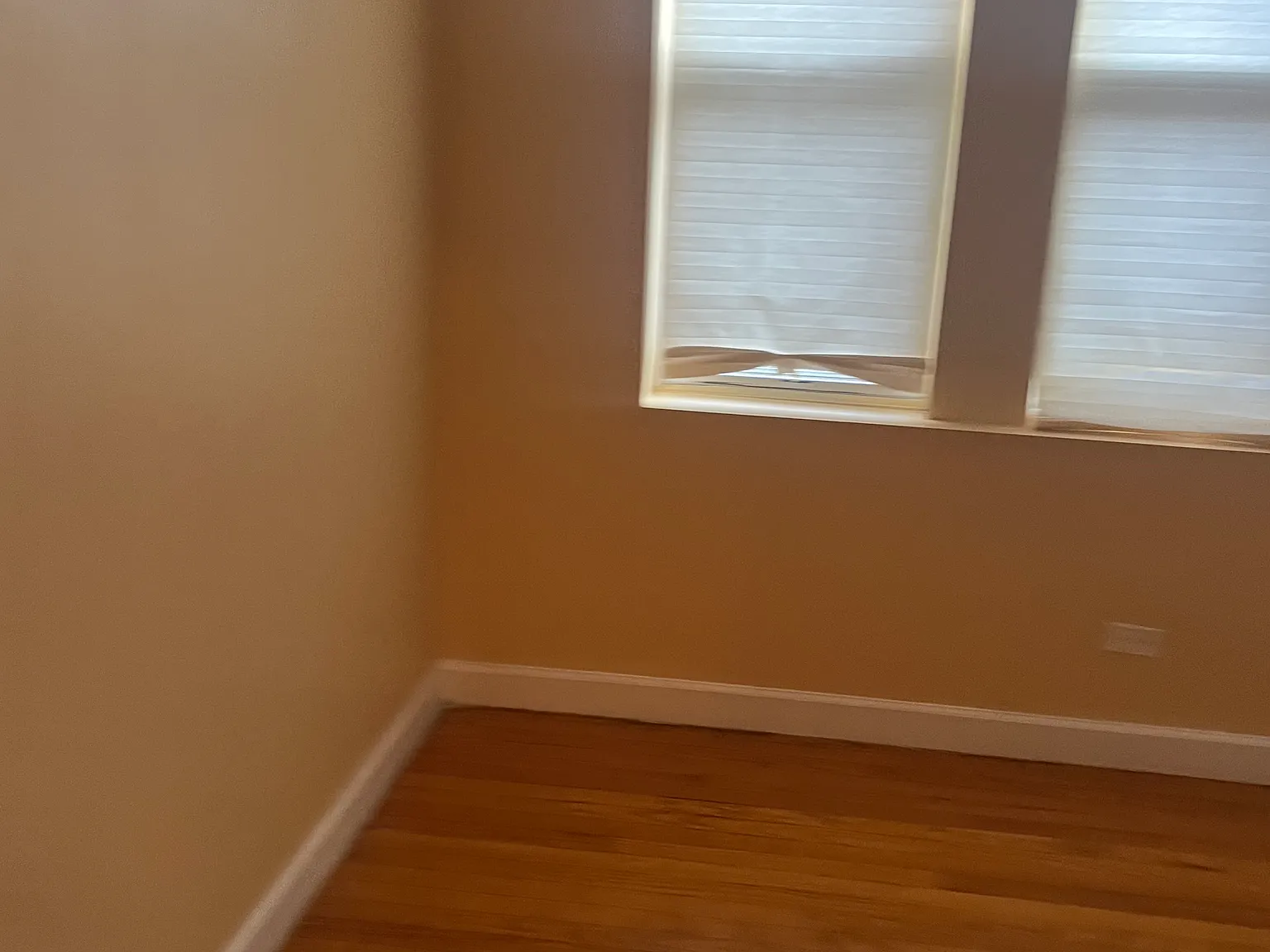 3 bed, 1.5 bath, $1,800 — Photo 4