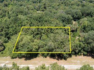 914 Paradise Blvd, Georgetown, FL 32139