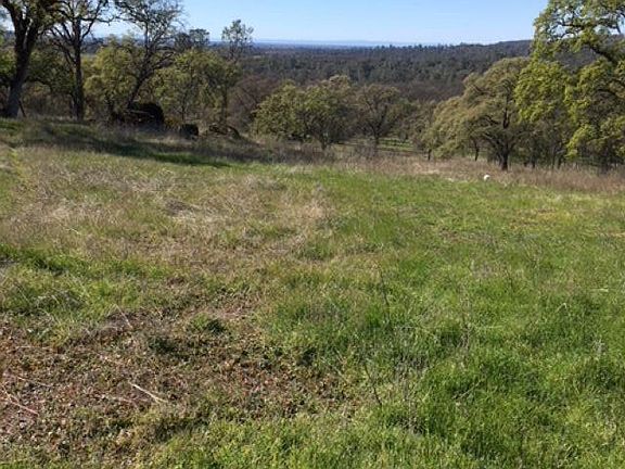 5th image of 56 Deer Hollow