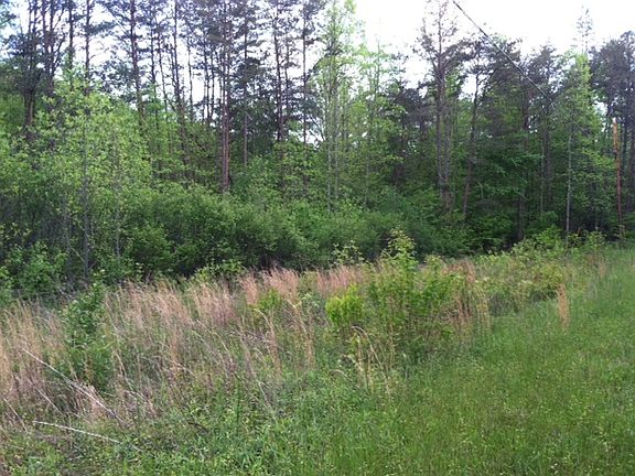 5th image of 3 Acres Trackrock