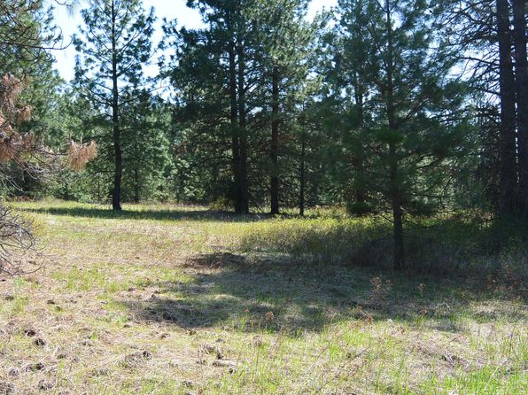 Hoag Rd, Valley, WA 99181