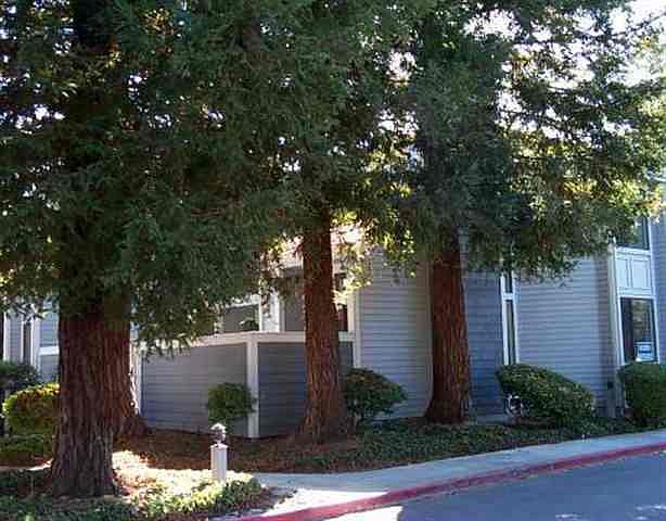 1st image of 5391-4 Black Ave