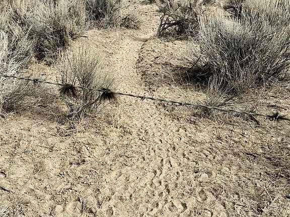 3rd image of 1705 Highway 96