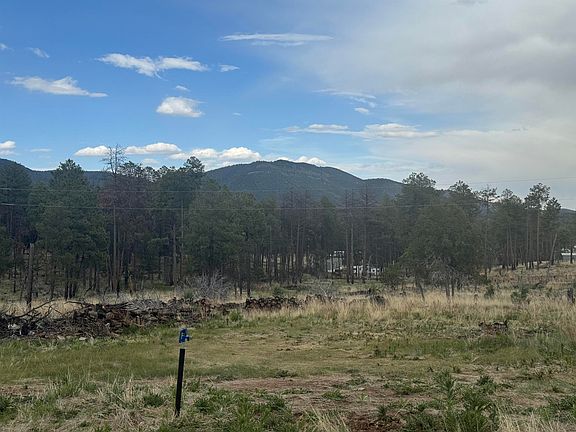 3rd image of 32 Dry Creek Dr
