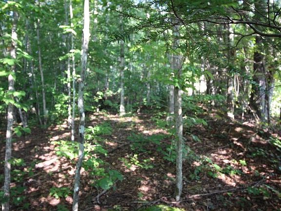 4th image of 523 Rudd Hollow Rd #1