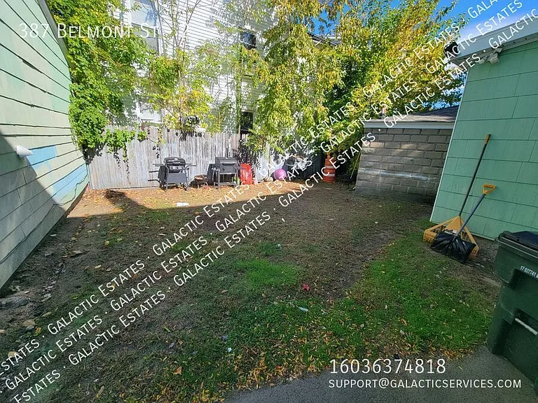 387 Belmont St #2 — Photo 9
