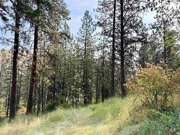 2nd image of Highway 12