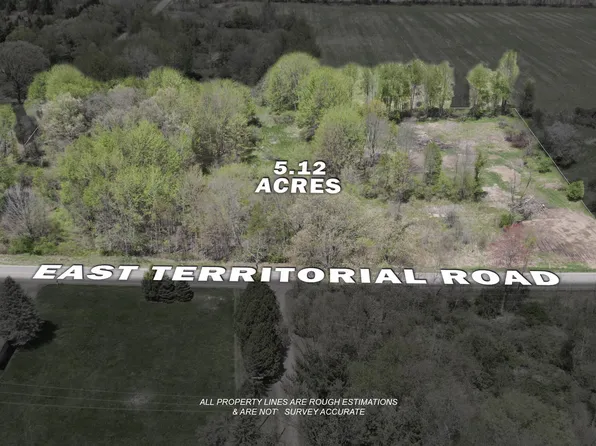 Vl D E Territorial Rd, Rives Junction, MI 49277