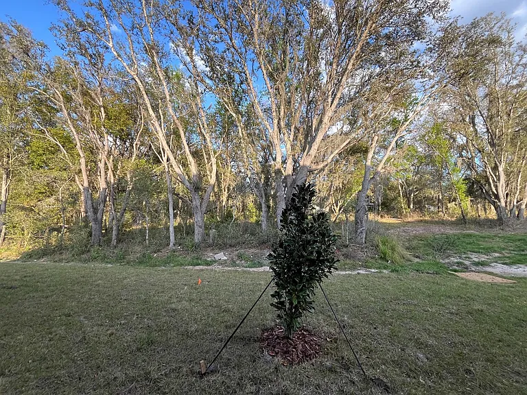10042 Trumpet Honeysuckle Way — Photo 35