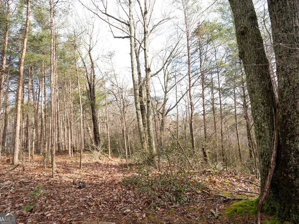 1 Amber Ct, Jasper, GA 30143