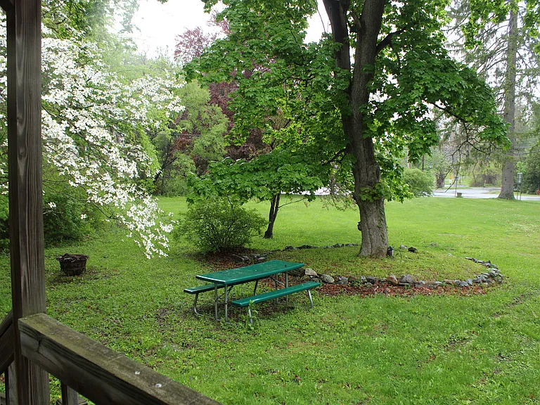 50 Route 343 #1B — Photo 8