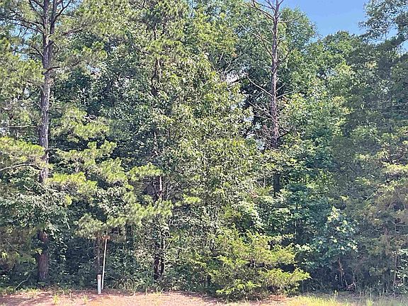 4th image of 2519 Greers Ferry Rd