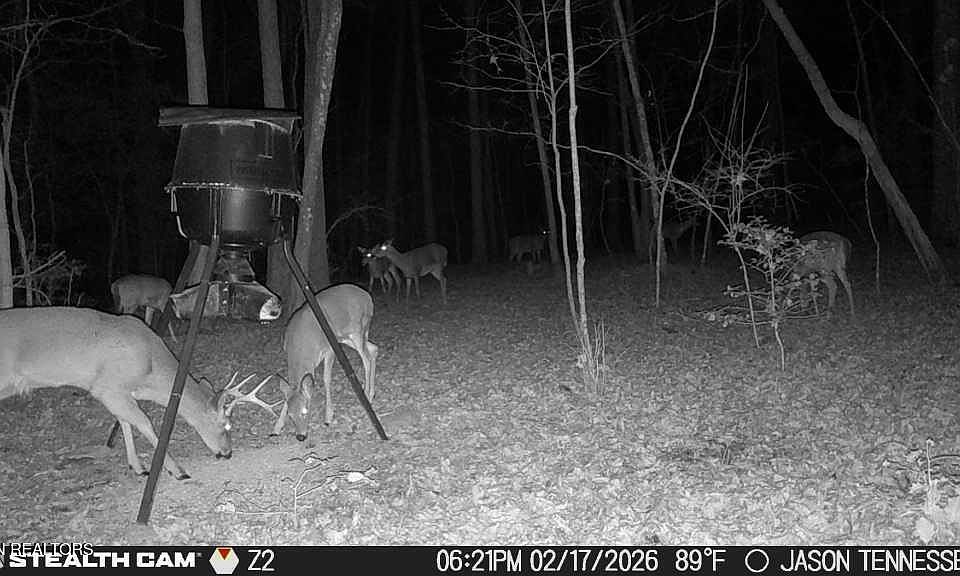 28th image of this home