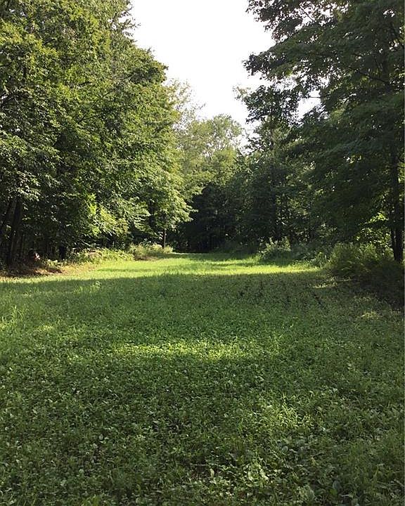 2nd image of 8035 Moose River Rd