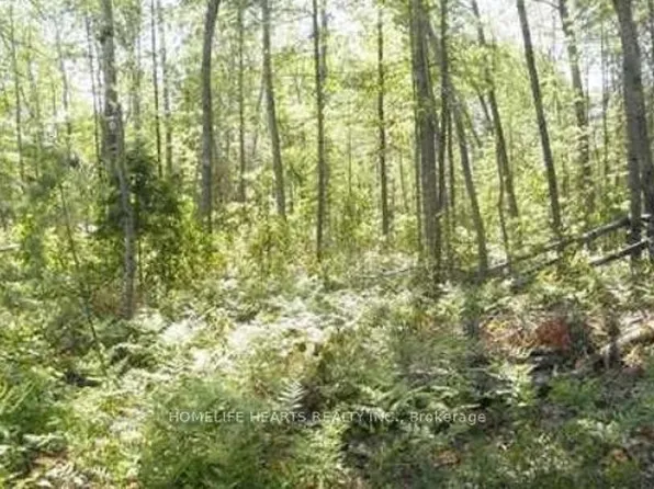 581 A Eady Rd, North Algona Wilberforce, ON K0J 1X0